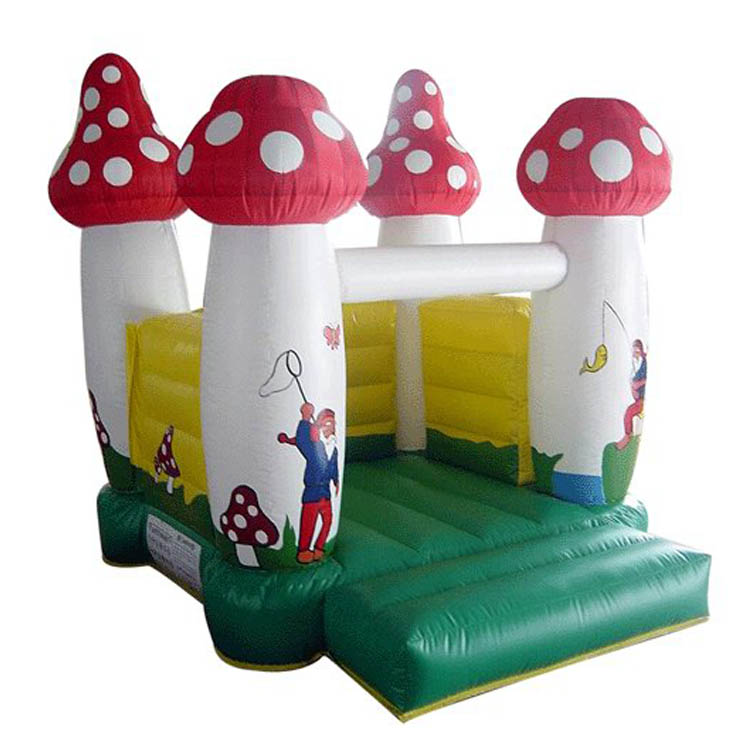 Inflatable Bouncer FLMI-10001